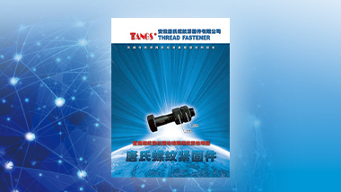 《唐氏螺紋緊固件》樣本資料